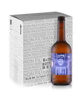 42048 - English strong ale - box 6 bottiglie 0.75L.