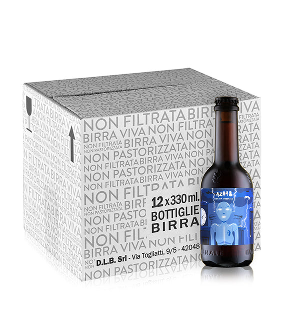 42048 - English strong ale - box 12 bottiglie 0.33L.